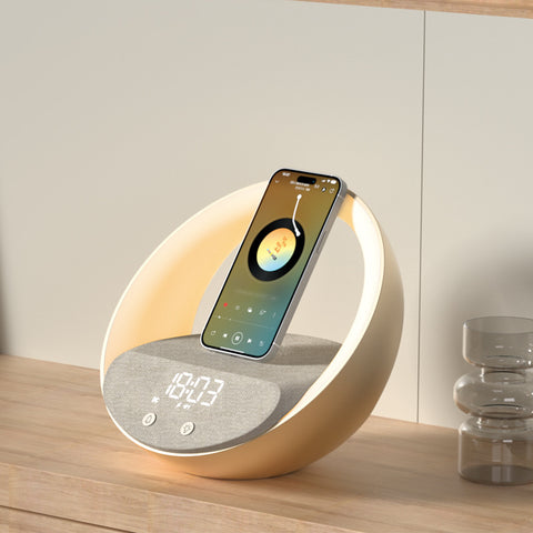 Charger Light And Speaker